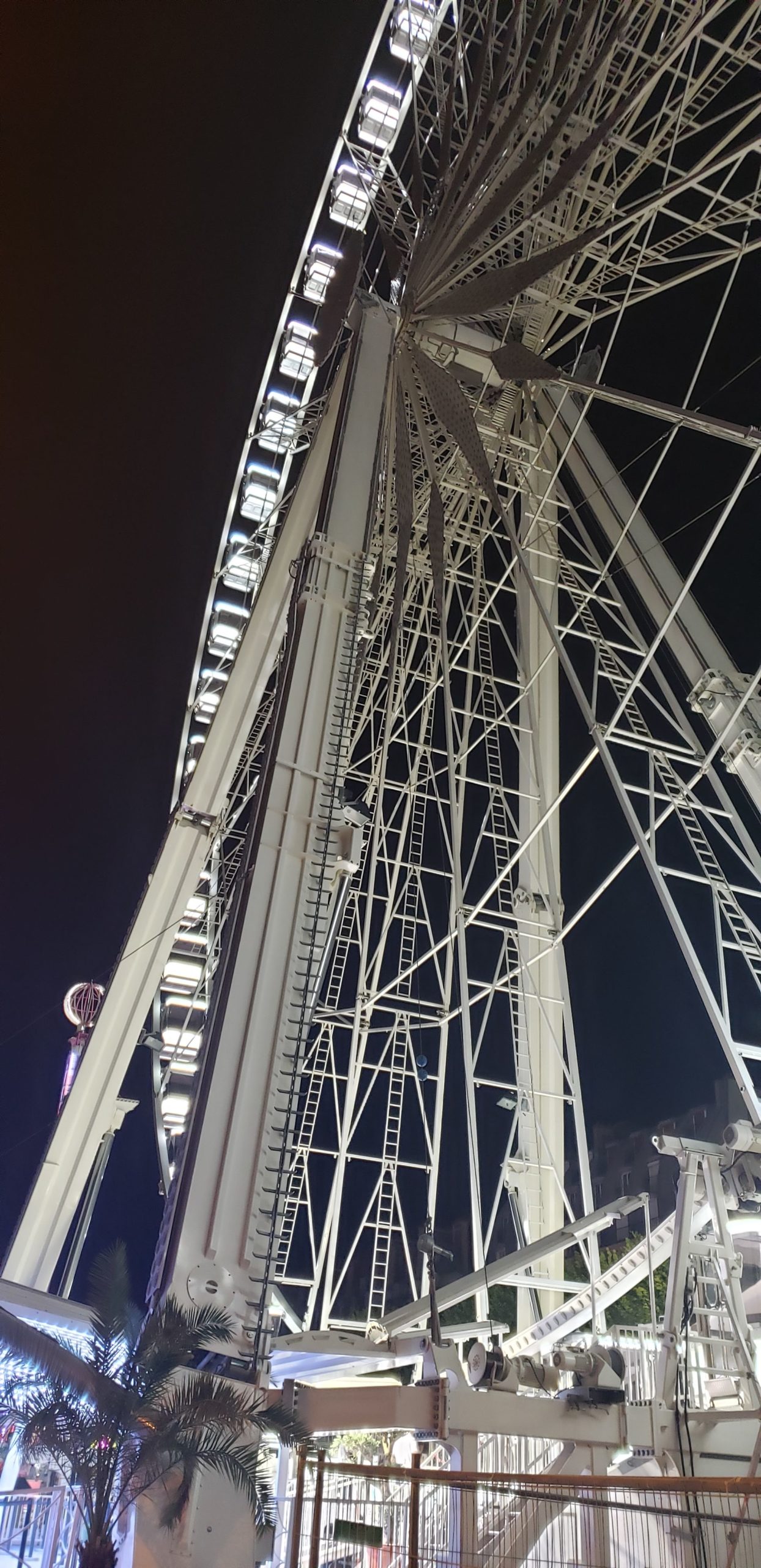 What to do in Paris July 2022 A Buckeye in Paris